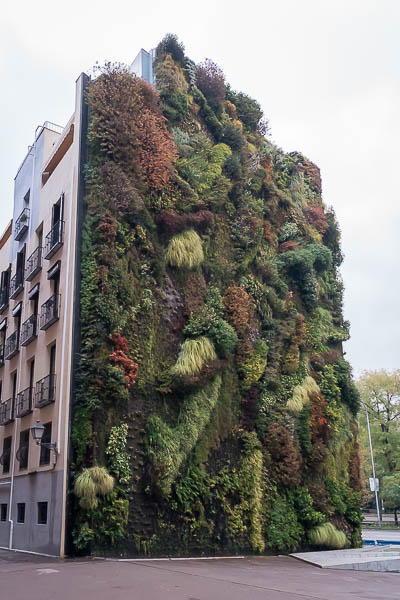 This image shows the vertical garden outside the Caixa Forum.