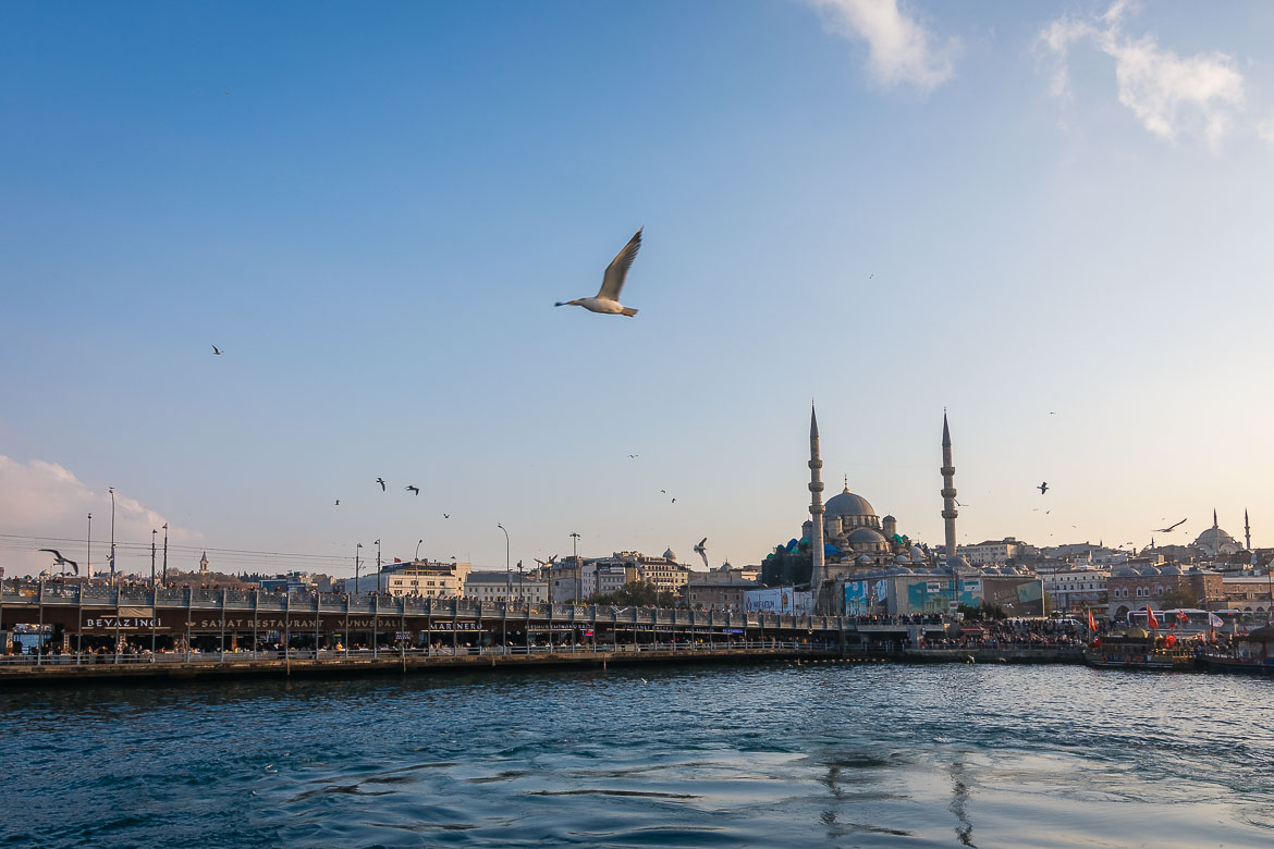 View of Galata bridge and Suleyman mosque from the ferry. A seagull flies over the ferry.
