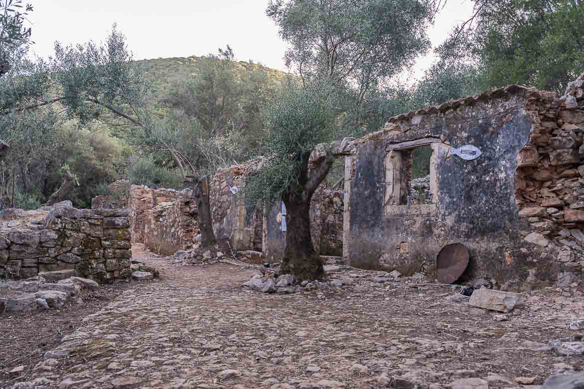 A cobblestone street lined with ruins and olive trees in Old Vlachata village.