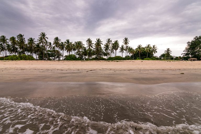 This image shows the splendid Nilaveli Beach in Sri Lanka. There is a line of tall coconut trees in the background and the photo was shot from the point where the waves meet the golden sand. This photo is used as the featured image for our article: The best Sri Lanka 10 day itinerary for first timers.