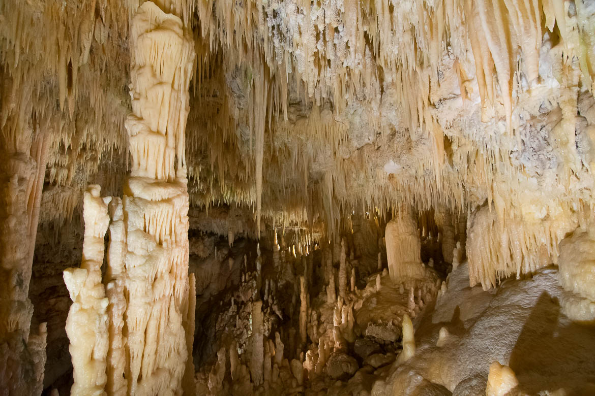 This image shows the impressive stalactites that hang from the White Cave's ceiling. There is also a huge column at the left part of the photo.